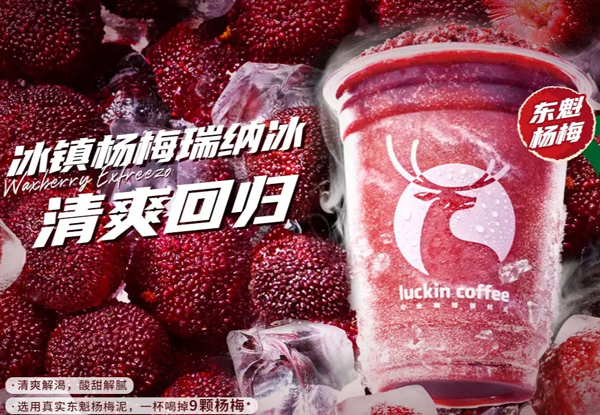 瑞幸咖啡加盟费要多少钱